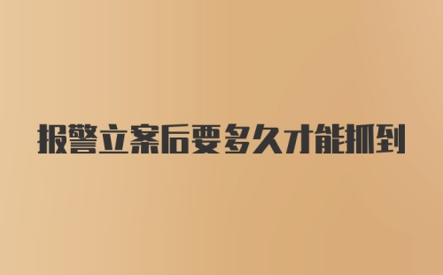 报警立案后要多久才能抓到