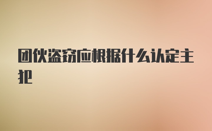 团伙盗窃应根据什么认定主犯