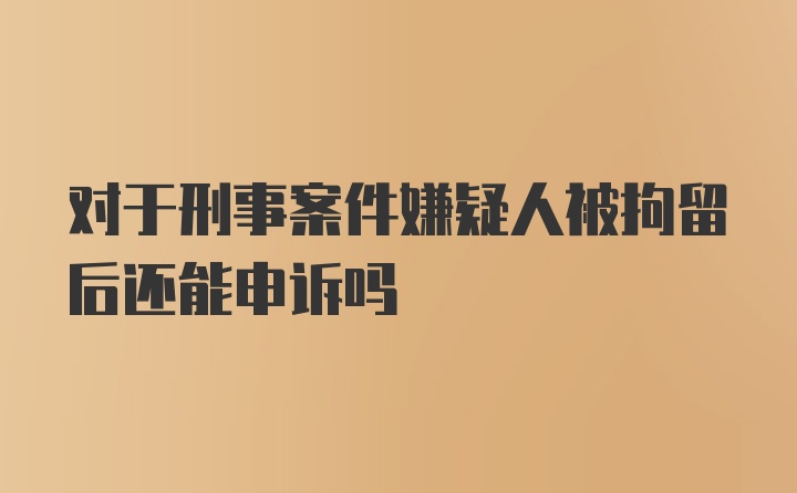 对于刑事案件嫌疑人被拘留后还能申诉吗