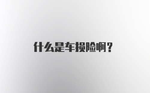 什么是车损险啊？