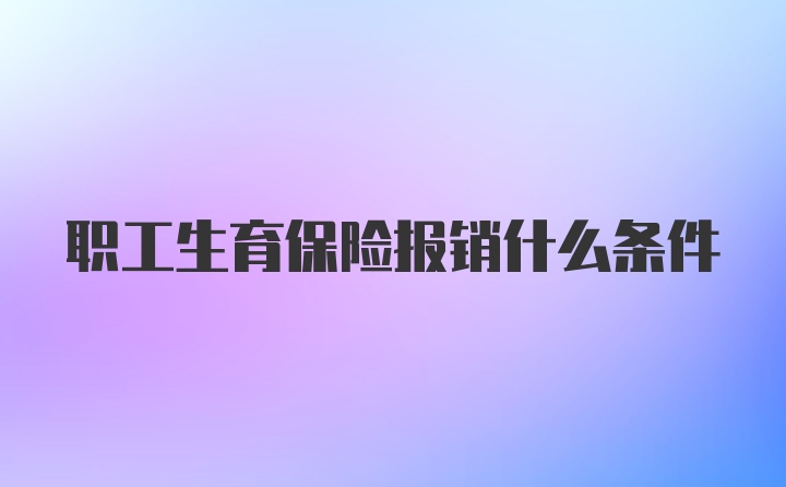 职工生育保险报销什么条件