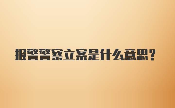 报警警察立案是什么意思？