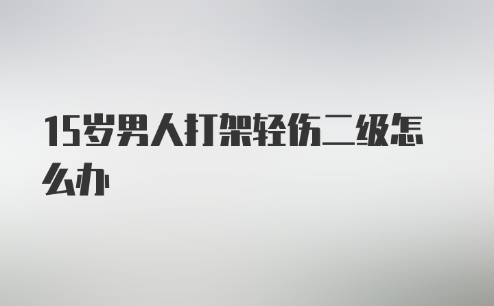 15岁男人打架轻伤二级怎么办