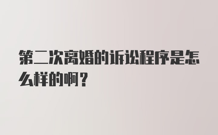 第二次离婚的诉讼程序是怎么样的啊？