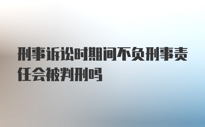 刑事诉讼时期间不负刑事责任会被判刑吗