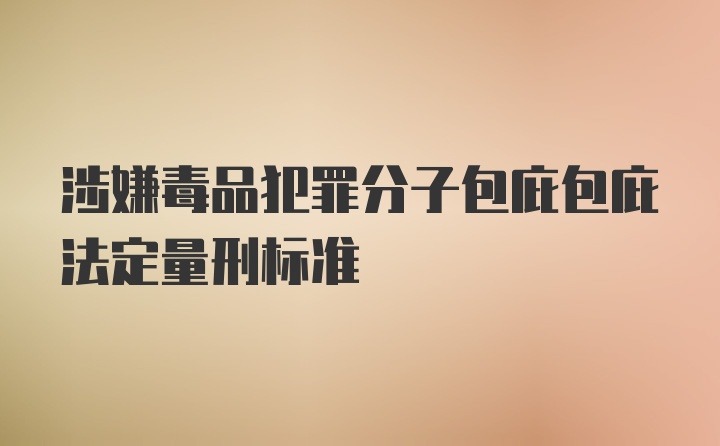 涉嫌毒品犯罪分子包庇包庇法定量刑标准