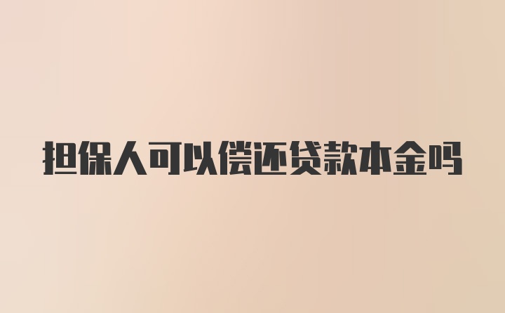 担保人可以偿还贷款本金吗