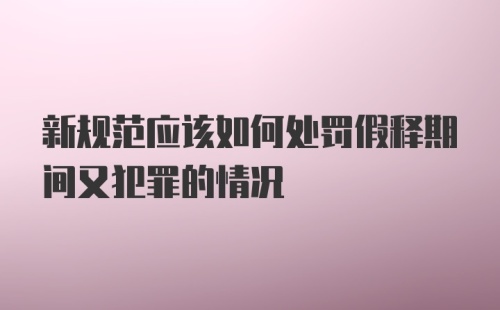 新规范应该如何处罚假释期间又犯罪的情况