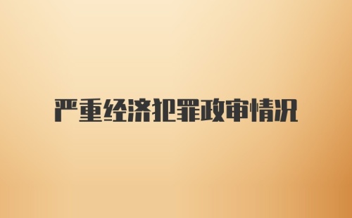 严重经济犯罪政审情况