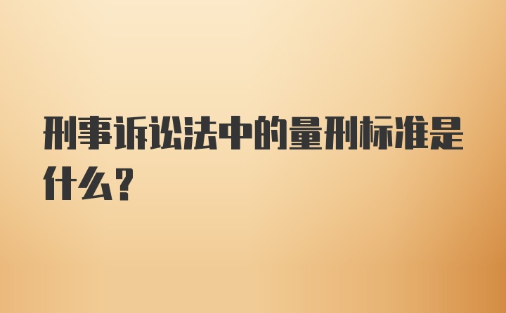 刑事诉讼法中的量刑标准是什么？