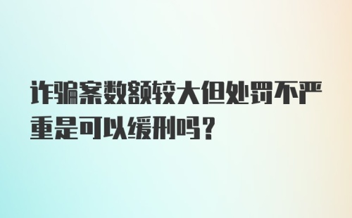 诈骗案数额较大但处罚不严重是可以缓刑吗？