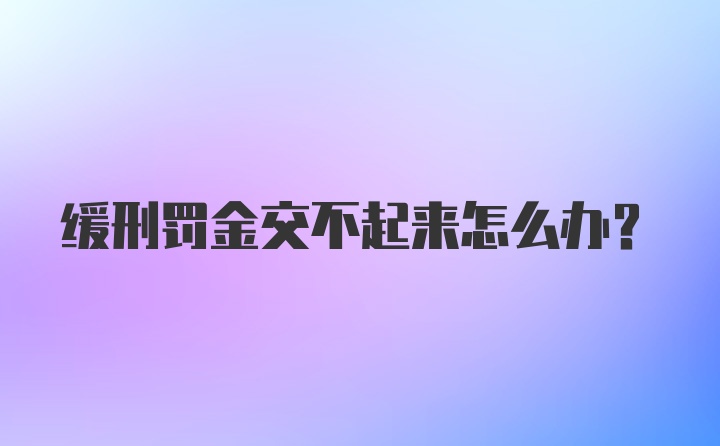 缓刑罚金交不起来怎么办?