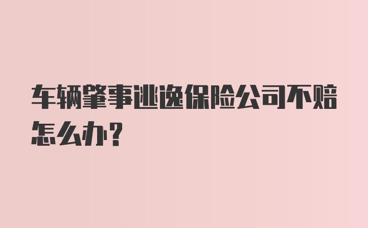 车辆肇事逃逸保险公司不赔怎么办？