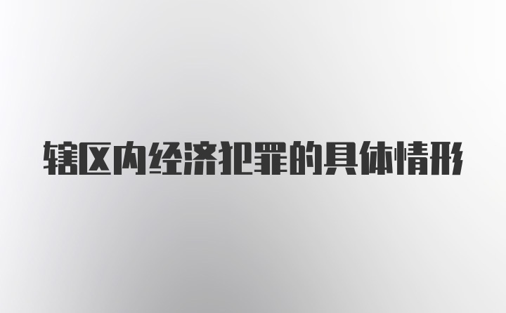 辖区内经济犯罪的具体情形