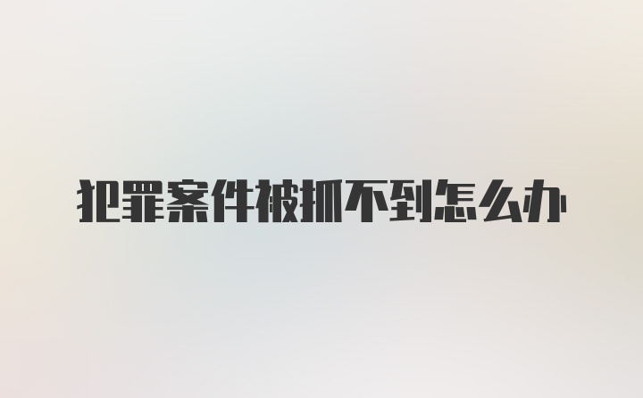 犯罪案件被抓不到怎么办