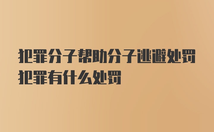 犯罪分子帮助分子逃避处罚犯罪有什么处罚