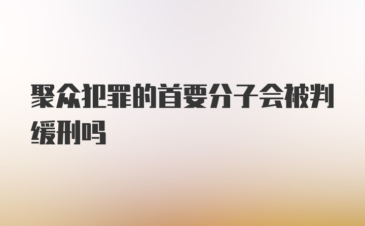 聚众犯罪的首要分子会被判缓刑吗