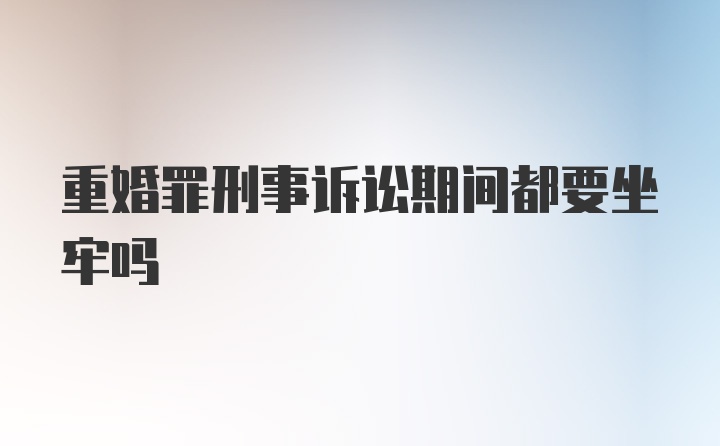 重婚罪刑事诉讼期间都要坐牢吗