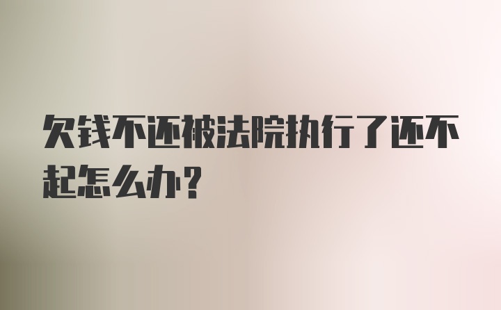 欠钱不还被法院执行了还不起怎么办？