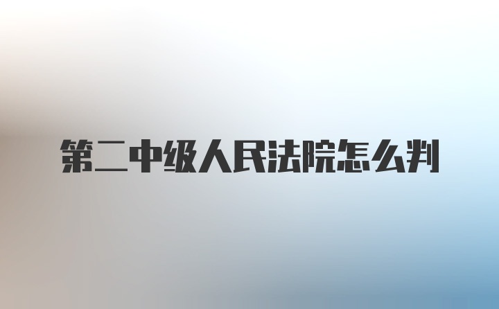 第二中级人民法院怎么判