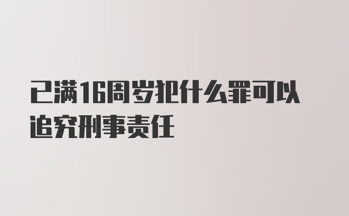 已满16周岁犯什么罪可以追究刑事责任