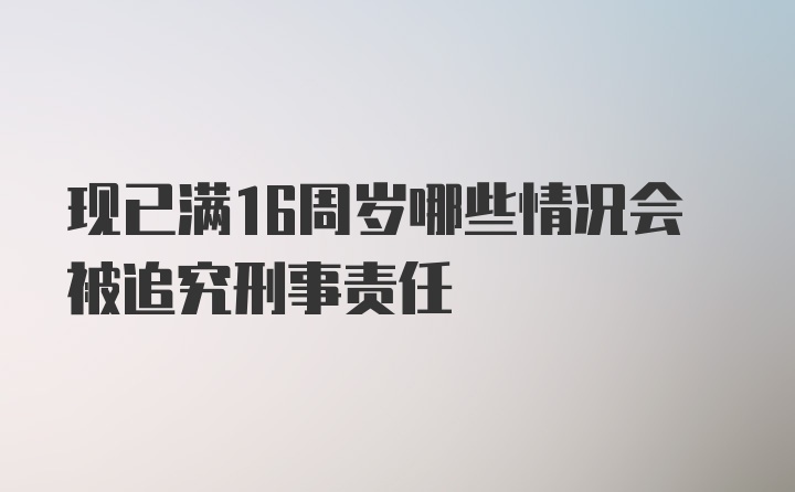 现已满16周岁哪些情况会被追究刑事责任