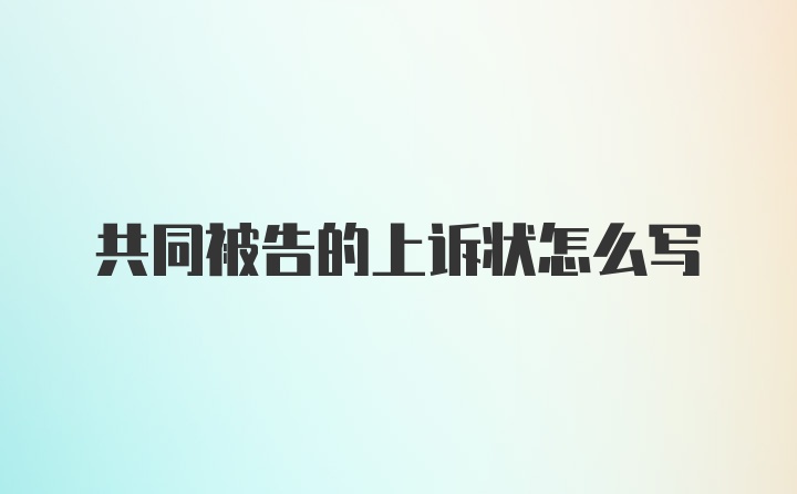 共同被告的上诉状怎么写