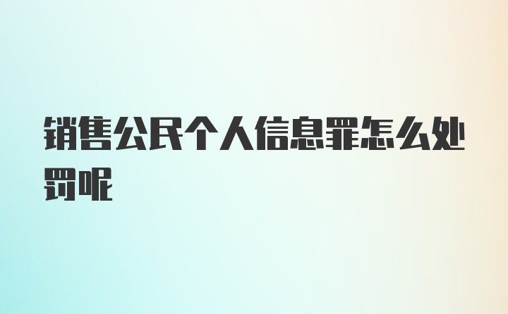 销售公民个人信息罪怎么处罚呢