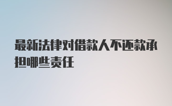 最新法律对借款人不还款承担哪些责任