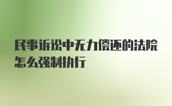 民事诉讼中无力偿还的法院怎么强制执行