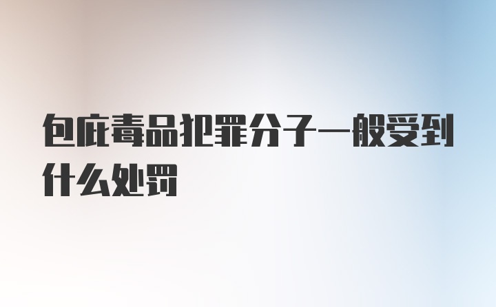 包庇毒品犯罪分子一般受到什么处罚