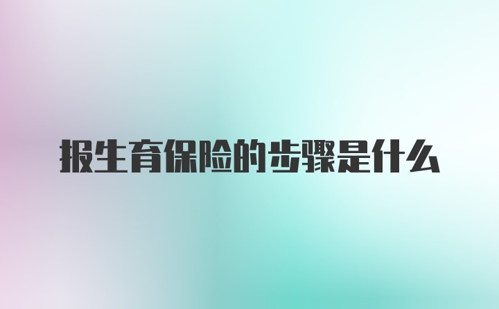 报生育保险的步骤是什么