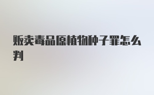 贩卖毒品原植物种子罪怎么判