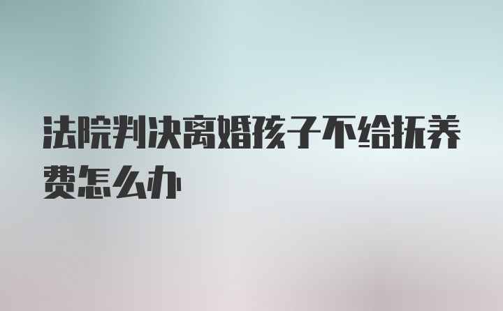 法院判决离婚孩子不给抚养费怎么办