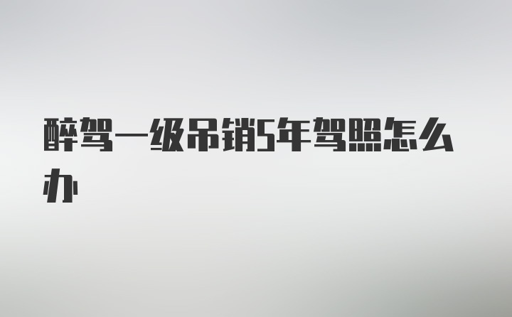 醉驾一级吊销5年驾照怎么办