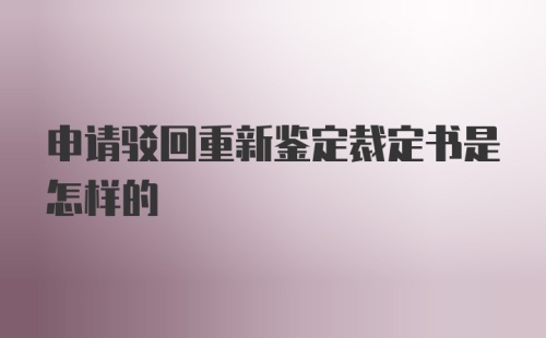 申请驳回重新鉴定裁定书是怎样的