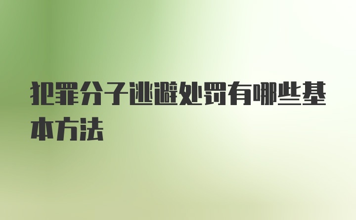 犯罪分子逃避处罚有哪些基本方法