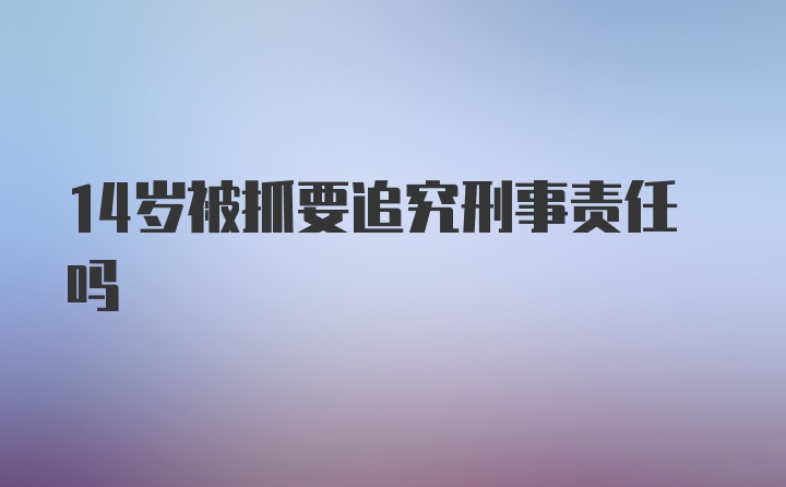 14岁被抓要追究刑事责任吗