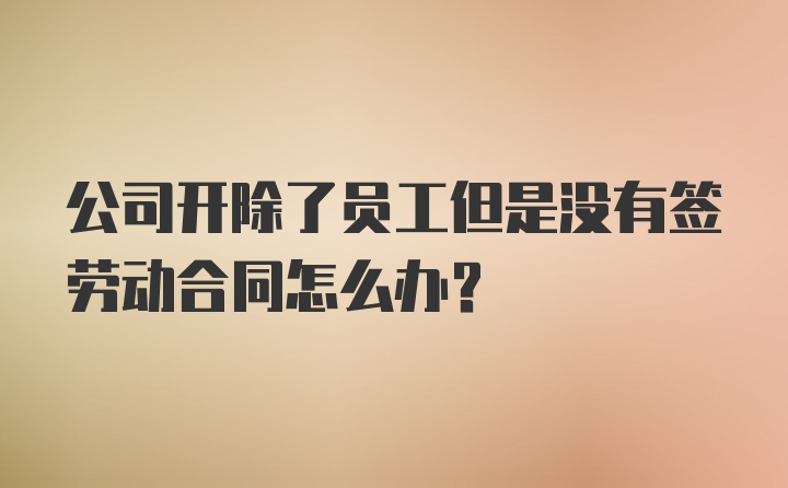 公司开除了员工但是没有签劳动合同怎么办？