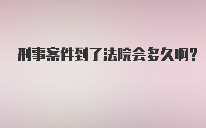 刑事案件到了法院会多久啊？