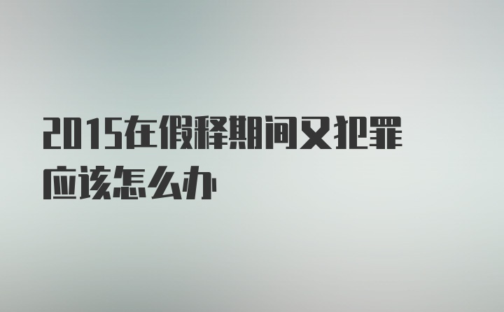 2015在假释期间又犯罪应该怎么办