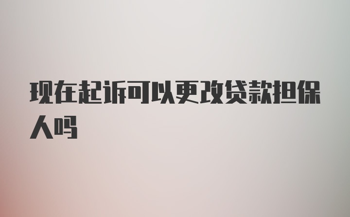 现在起诉可以更改贷款担保人吗