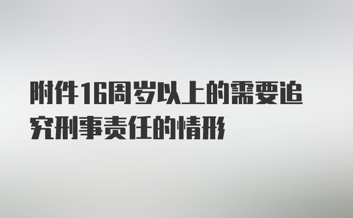 附件16周岁以上的需要追究刑事责任的情形