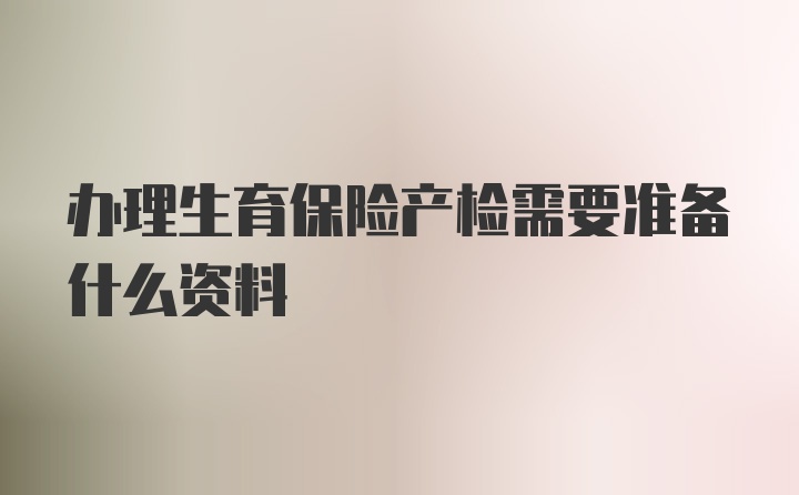 办理生育保险产检需要准备什么资料