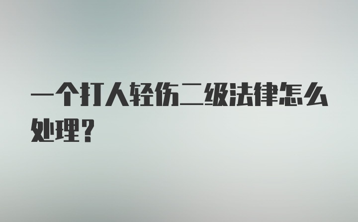 一个打人轻伤二级法律怎么处理？