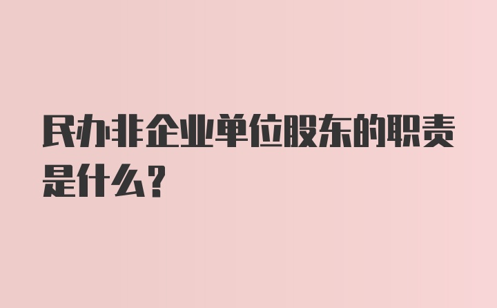 民办非企业单位股东的职责是什么？