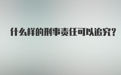 什么样的刑事责任可以追究?