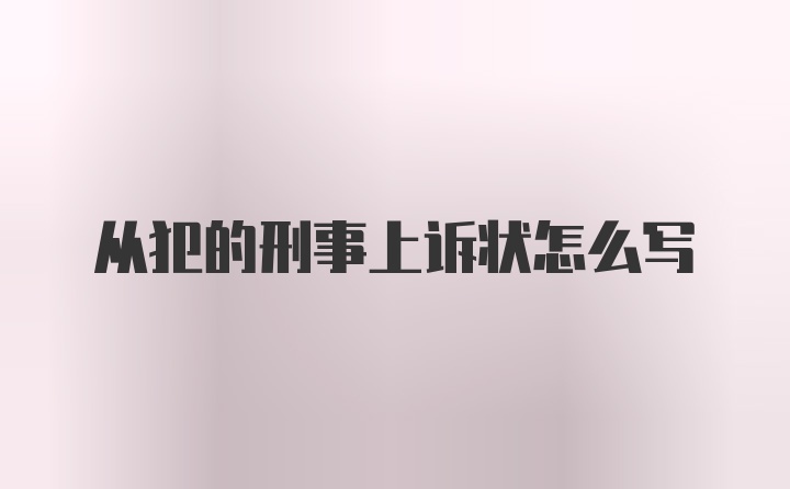 从犯的刑事上诉状怎么写