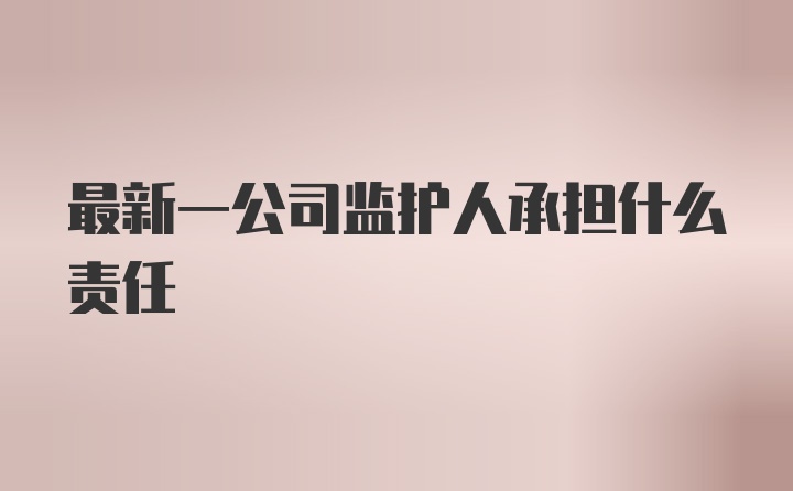 最新一公司监护人承担什么责任