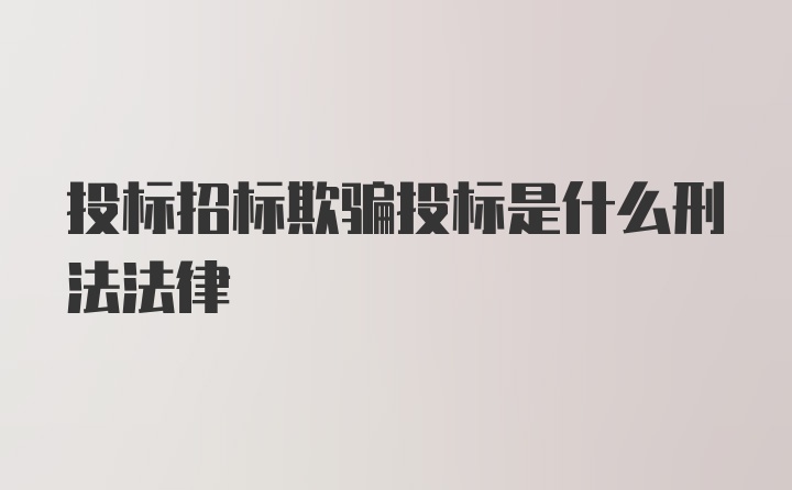 投标招标欺骗投标是什么刑法法律